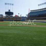 ヒメ日記 2025/11/24 12:44 投稿 夏樹姉さん 男性機能鍛錬道場