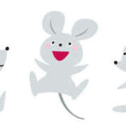 ヒメ日記 2025/11/30 11:13 投稿 夏樹姉さん 男性機能鍛錬道場