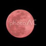 夏樹姉さん 「ゾンビたばこ」 男性機能鍛錬道場