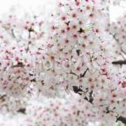 ヒメ日記 2026/02/21 12:21 投稿 夏樹姉さん 男性機能鍛錬道場