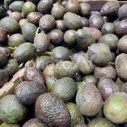 ヒメ日記 2026/02/28 12:12 投稿 夏樹姉さん 男性機能鍛錬道場