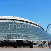 ヒメ日記 2026/03/08 12:01 投稿 夏樹姉さん 男性機能鍛錬道場