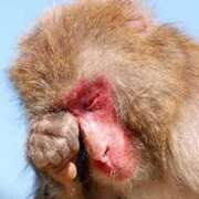 ヒメ日記 2026/03/26 13:17 投稿 夏樹姉さん 男性機能鍛錬道場