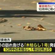 ヒメ日記 2026/10/29 14:22 投稿 夏樹姉さん 男性機能鍛錬道場