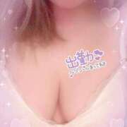 ヒメ日記 2025/07/10 11:10 投稿 りこ 愛知三河安城岡崎ちゃんこ