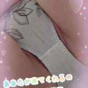 ヒメ日記 2025/10/29 13:50 投稿 りこ 愛知三河安城岡崎ちゃんこ