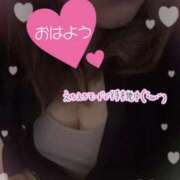 ヒメ日記 2026/03/17 13:10 投稿 りこ 愛知三河安城岡崎ちゃんこ