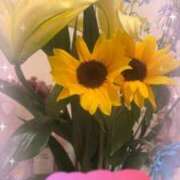 ヒメ日記 2026/04/20 09:20 投稿 りこ 愛知三河安城岡崎ちゃんこ