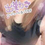 ヒメ日記 2026/06/23 12:02 投稿 りこ 愛知三河安城岡崎ちゃんこ