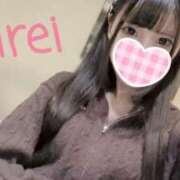 ヒメ日記 2024/12/15 16:25 投稿 みれい C.C.CATS