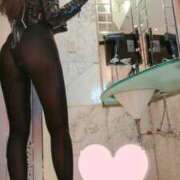 ヒメ日記 2025/02/21 20:08 投稿 みれい C.C.CATS