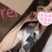 ヒメ日記 2025/03/08 11:07 投稿 みれい C.C.CATS