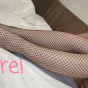 ヒメ日記 2025/03/24 08:07 投稿 みれい C.C.CATS