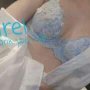 ヒメ日記 2025/03/26 20:47 投稿 みれい C.C.CATS