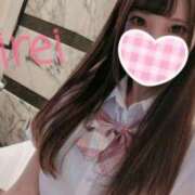 ヒメ日記 2025/03/27 15:46 投稿 みれい C.C.CATS