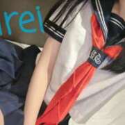 ヒメ日記 2025/03/30 16:26 投稿 みれい C.C.CATS