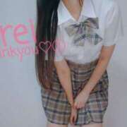 ヒメ日記 2025/04/18 14:06 投稿 みれい C.C.CATS