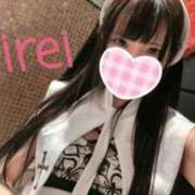 ヒメ日記 2025/05/24 12:24 投稿 みれい C.C.CATS