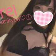 ヒメ日記 2025/06/05 13:21 投稿 みれい C.C.CATS