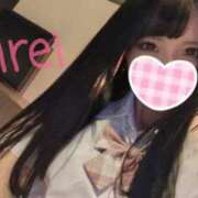 ヒメ日記 2025/06/24 16:02 投稿 みれい C.C.CATS