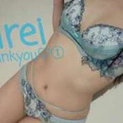 ヒメ日記 2025/08/12 17:21 投稿 みれい C.C.CATS