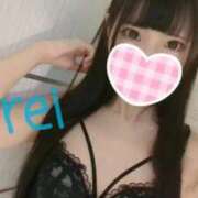 ヒメ日記 2025/08/19 11:41 投稿 みれい C.C.CATS