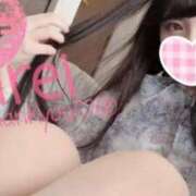 ヒメ日記 2025/08/22 16:02 投稿 みれい C.C.CATS