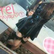 ヒメ日記 2025/09/08 17:21 投稿 みれい C.C.CATS