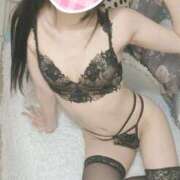 ヒメ日記 2025/09/12 12:21 投稿 みれい C.C.CATS