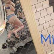 ヒメ日記 2025/09/15 16:21 投稿 みれい C.C.CATS