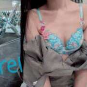 ヒメ日記 2025/09/21 11:21 投稿 みれい C.C.CATS