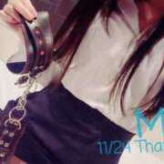 ヒメ日記 2025/11/25 16:42 投稿 みれい C.C.CATS