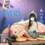 ヒメ日記 2025/11/29 19:22 投稿 みれい C.C.CATS