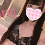 ヒメ日記 2026/01/30 11:22 投稿 みれい CCキャッツ