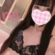 ヒメ日記 2026/02/23 09:42 投稿 みれい CCキャッツ