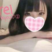 ヒメ日記 2026/06/30 18:03 投稿 みれい CCキャッツ
