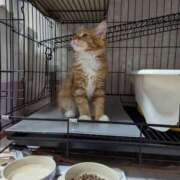 ヒメ日記 2024/12/17 16:23 投稿 ケイ カワサキ EROTIC