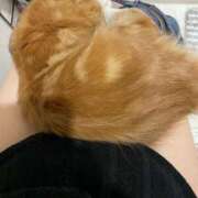 ヒメ日記 2024/12/18 23:01 投稿 ケイ カワサキ EROTIC