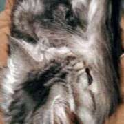 ヒメ日記 2024/12/19 15:04 投稿 ケイ カワサキ EROTIC