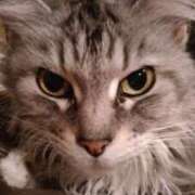 ヒメ日記 2025/01/14 03:15 投稿 ケイ カワサキ EROTIC