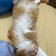 ヒメ日記 2025/01/16 00:45 投稿 ケイ カワサキ EROTIC