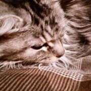 ヒメ日記 2025/02/01 13:44 投稿 ケイ カワサキ EROTIC