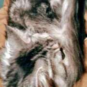 ヒメ日記 2025/07/29 14:48 投稿 ケイ カワサキ EROTIC