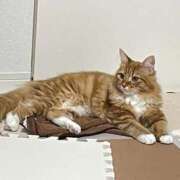 ヒメ日記 2025/08/01 02:00 投稿 ケイ カワサキ EROTIC