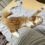 ヒメ日記 2025/08/01 15:30 投稿 ケイ カワサキ EROTIC