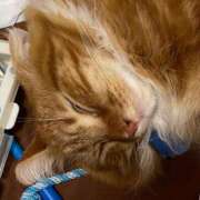 ヒメ日記 2025/08/03 00:45 投稿 ケイ カワサキ EROTIC