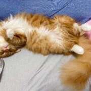 ヒメ日記 2025/08/11 22:00 投稿 ケイ カワサキ EROTIC