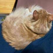 ヒメ日記 2025/08/19 20:19 投稿 ケイ カワサキ EROTIC