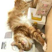 ヒメ日記 2025/08/26 18:24 投稿 ケイ カワサキ EROTIC