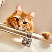 ヒメ日記 2025/09/26 13:00 投稿 ケイ カワサキ EROTIC